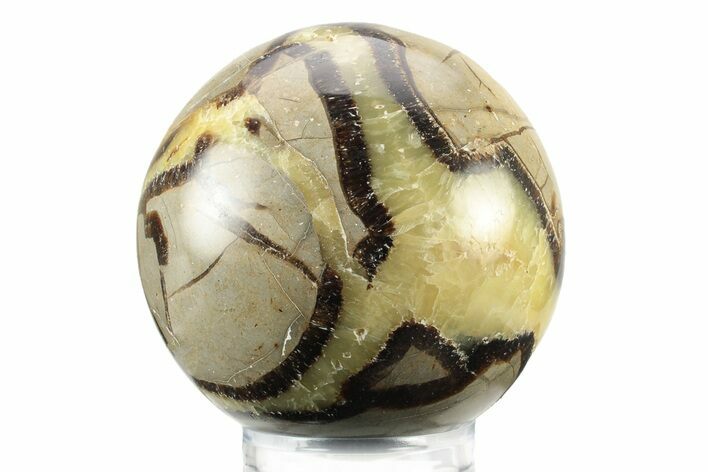 Polished Septarian Sphere - Madagascar #239002